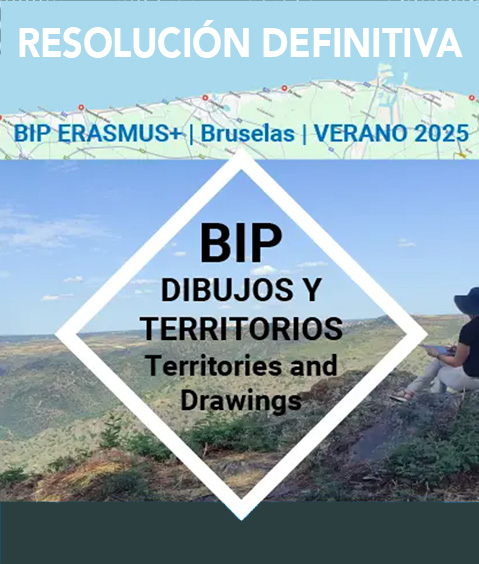 RESOLUCIÓN DEFINITIVA BIP RESOLUCIÓN DEFINITIVA BIP