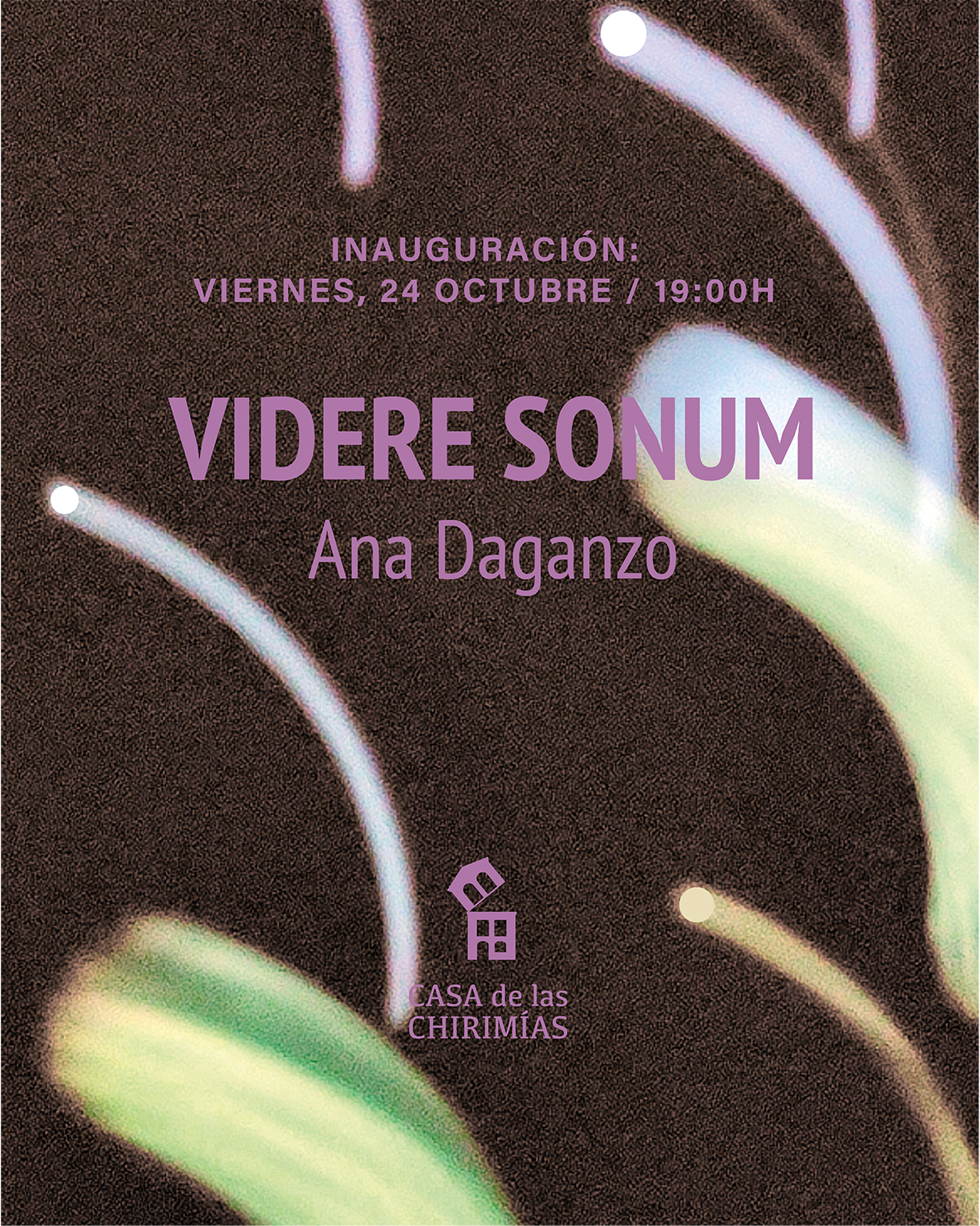 Videre Sonum