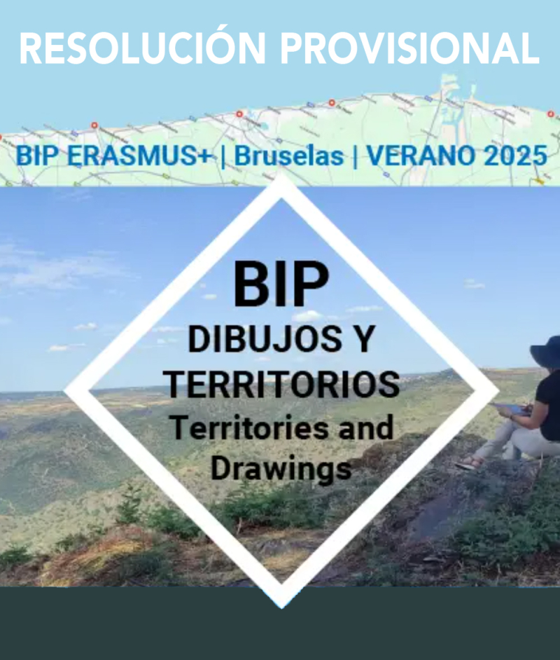RESOLUCIÓN PROVISIONAL BIP RESOLUCIÓN PROVISIONAL BIP